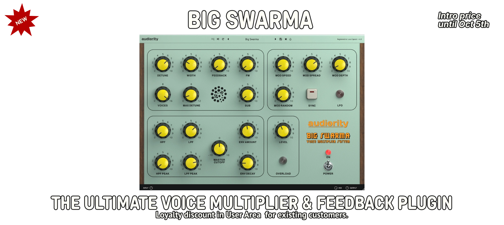 Big Swarma Site Banner